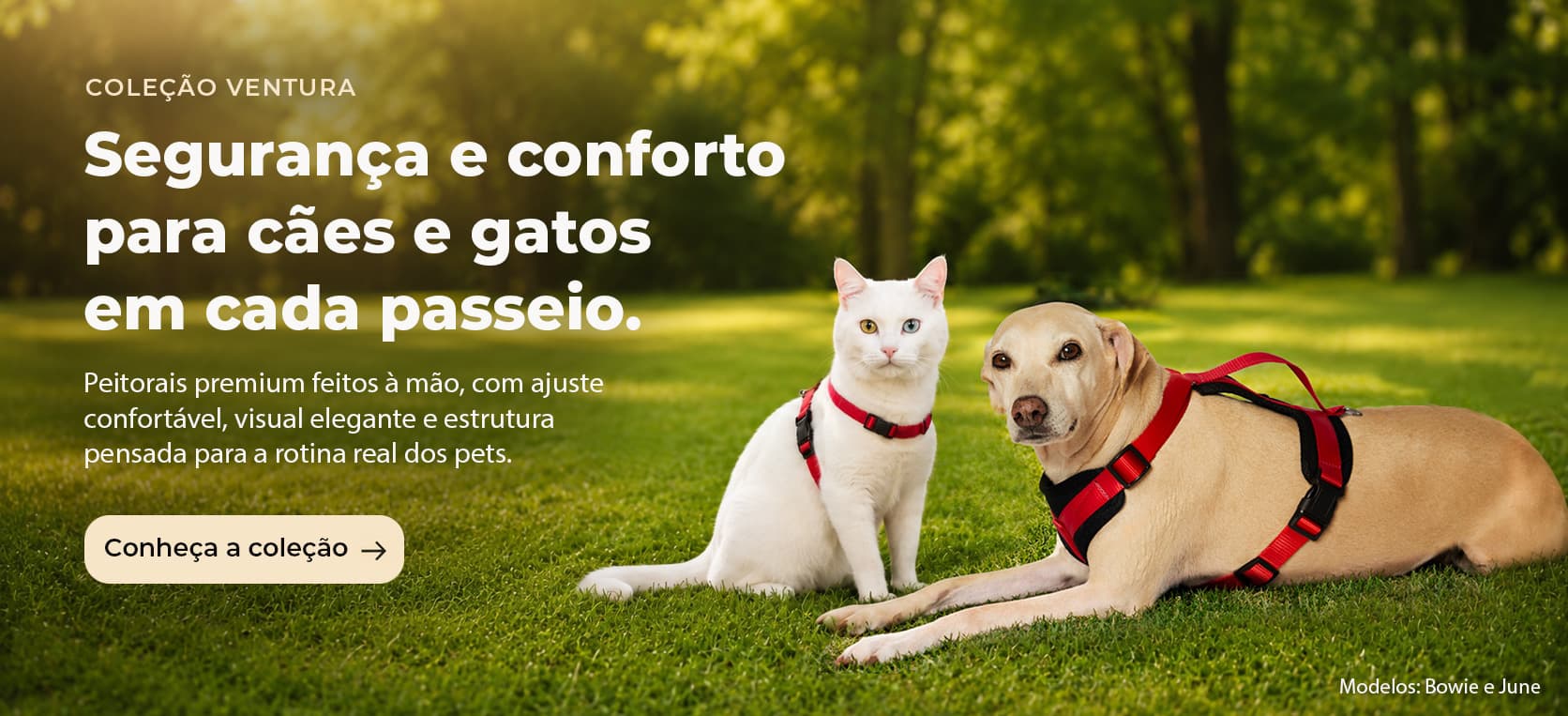 Coleção Ventura — peitorais premium para cães e gatos