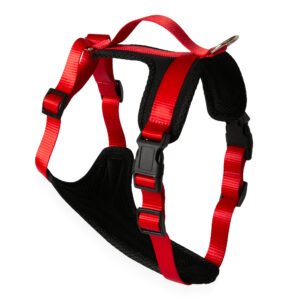 Peitoral Ventura - Dorsal