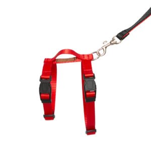 Peitoral com Guia Ventura - Essencial Felinos